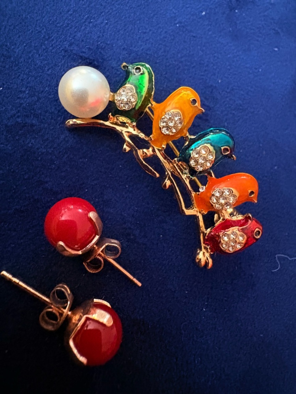 Colorful Enamel Bird Brooch with Red Stud Earrings